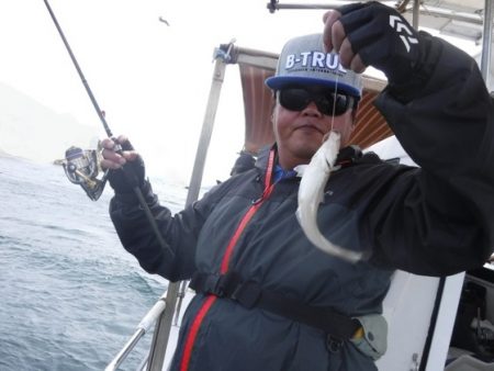 遊漁船 幸友丸 釣果