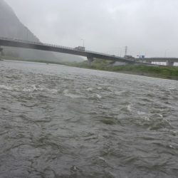 狩野川(狩野川漁業協同組合) 釣果
