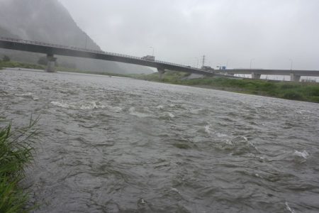 狩野川(狩野川漁業協同組合) 釣果