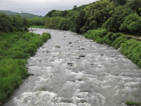 狩野川(狩野川漁業協同組合) 釣果