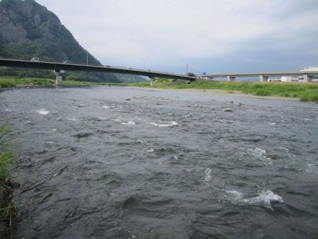 狩野川(狩野川漁業協同組合) 釣果
