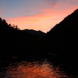 小菅トラウトガーデン 釣果