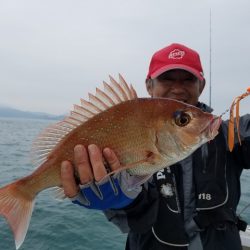 遊漁船　ニライカナイ 釣果