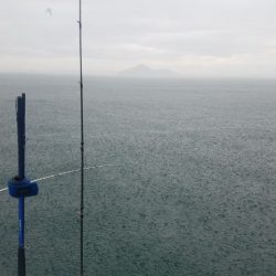 Magic(マジック) 釣果