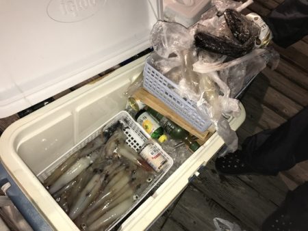 寿裕 （YOSHIHIRO） 釣果