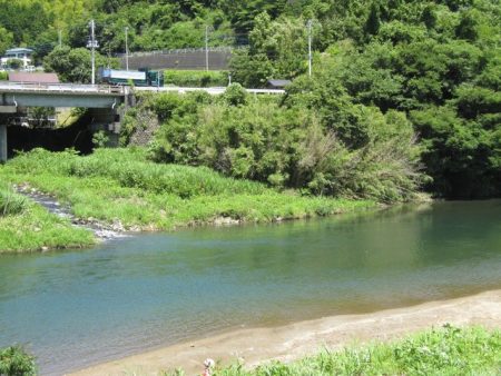 狩野川(狩野川漁業協同組合) 釣果
