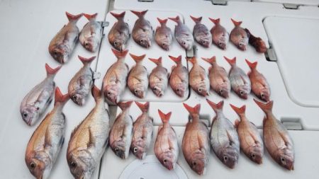 暁〜akatsuki〜 釣果