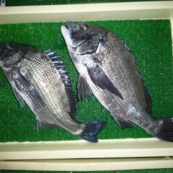 海山フィッシングセンター 釣果