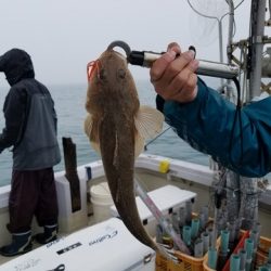 遊漁船 ニライカナイ 釣果