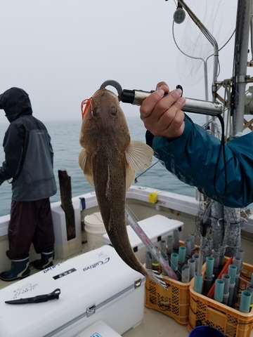 遊漁船 ニライカナイ 釣果