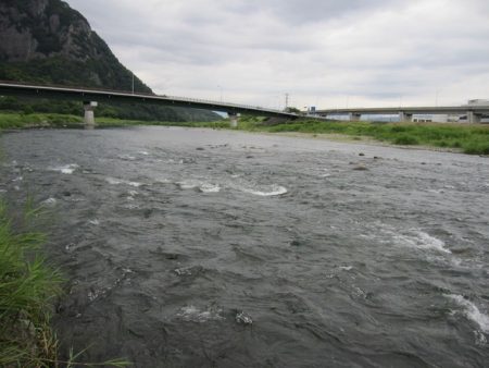 狩野川(狩野川漁業協同組合) 釣果