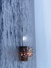 ことぶき丸 釣果