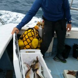 第五慶門丸 釣果