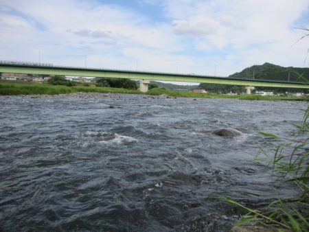 狩野川（狩野川漁業協同組合） 釣果