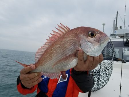 遊漁船 ニライカナイ 釣果