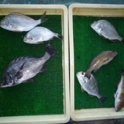 海山フィッシングセンター 釣果