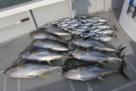 へいみつ丸 釣果