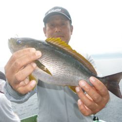 真祐丸 （しんゆうまる） 釣果