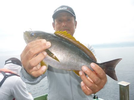 真祐丸 （しんゆうまる） 釣果
