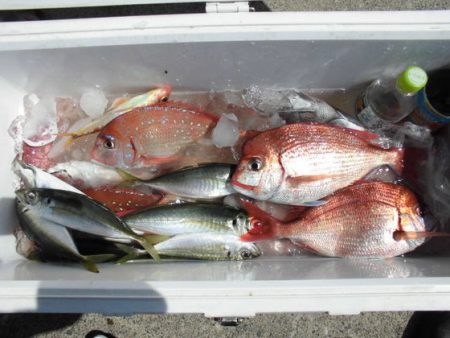 大進丸(新潟) 釣果