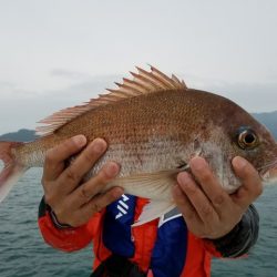 遊漁船 ニライカナイ 釣果