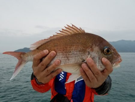 遊漁船 ニライカナイ 釣果