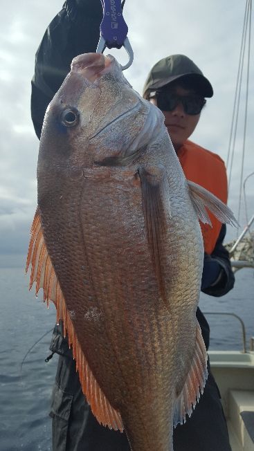 海峰 釣果