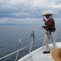 Magic(マジック) 釣果