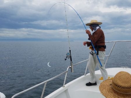 Magic(マジック) 釣果