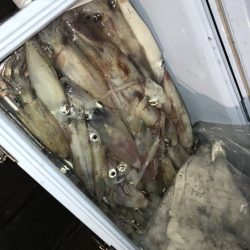 寿裕 （YOSHIHIRO） 釣果