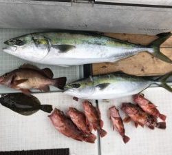 さぶろう丸 釣果