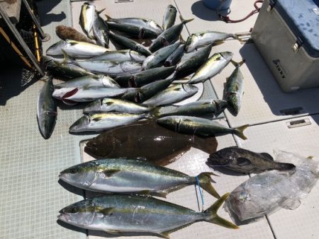 ふじしめ丸 釣果