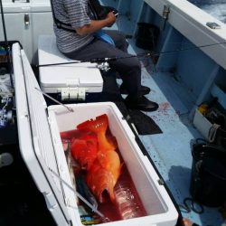 第五慶門丸 釣果