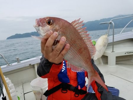 遊漁船　ニライカナイ 釣果