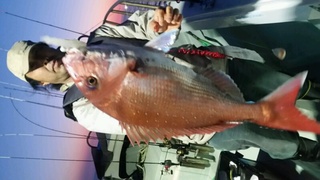 ディープ オーシャン 釣果