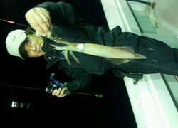 ディープ オーシャン 釣果