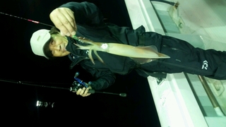 ディープ オーシャン 釣果