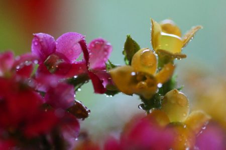 小菅トラウトガーデン 釣果