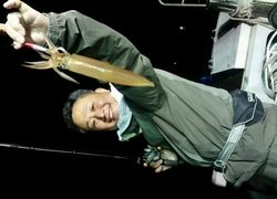 ディープ オーシャン 釣果