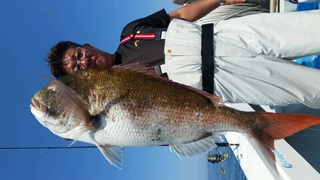 ディープ オーシャン 釣果