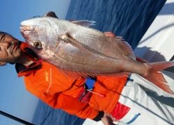 ディープ オーシャン 釣果