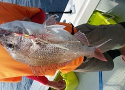 ディープ オーシャン 釣果