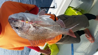 ディープ オーシャン 釣果