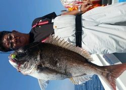 ディープ オーシャン 釣果