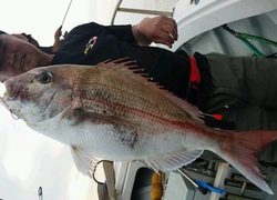 ディープ オーシャン 釣果