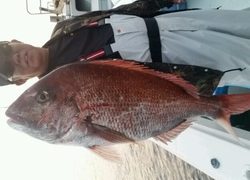 ディープ オーシャン 釣果