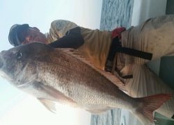 ディープ オーシャン 釣果