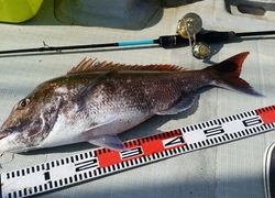 ディープ オーシャン 釣果