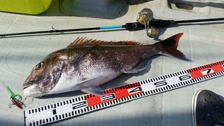 ディープ オーシャン 釣果