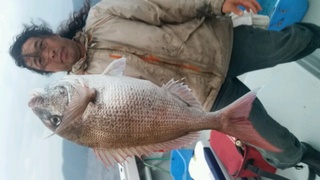 ディープ オーシャン 釣果